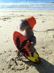 QrAJeDrI3vU.jpg (317.2 КБ) 6196 просмотров #морж Иванович