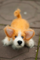 QBo4JObWyRg.jpg (105.25 КБ) 5927 просмотров #коржик Риччи