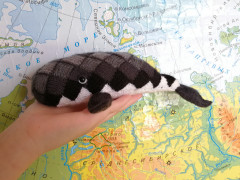 IMG_20221016_114038.jpg (266.15 КБ) 5121 просмотр #рыба-кит