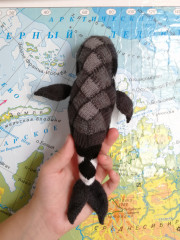 IMG_20221016_113929.jpg (253.34 КБ) 5121 просмотр #рыба-кит