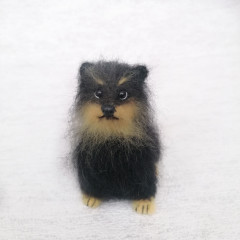 IMG_20221016_144441-01.jpeg (142.26 КБ) 5224 просмотра #миниатюрный шпиц