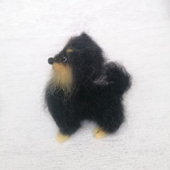 IMG_20221016_144451-01.jpeg (149.59 КБ) 5224 просмотра #миниатюрный шпиц