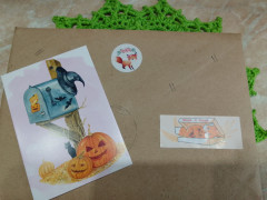 IMG_20221103_093733.jpg (191.07 КБ) 2192 просмотра Лисёнок в коробке покорил Лизу))