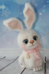 IMG_1414.JPG (112.58 КБ) 5761 просмотр #пусанский заяц