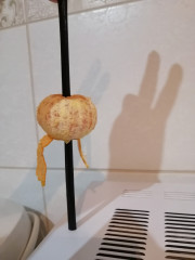 IMG_20221207_204901.jpg (101.23 КБ) 4030 просмотров Зайчик впервые в кафе для взрослых