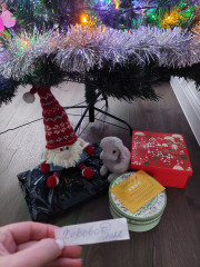 20221221_145832.jpg (311.4 КБ) 6149 просмотров Хоровод забыла. Пока вспомнила один подарок уже успела отдать соседскому малышу :-)