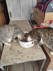 IMG_20230220_154300.jpg (256.67 КБ) 9841 просмотр IMG_20230220_154300.jpg