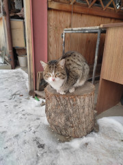 IMG_20230220_155059.jpg (230.89 КБ) 9862 просмотра IMG_20230220_155059.jpg