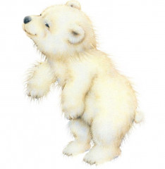 мб.jpg (58.26 КБ) 6958 просмотров Миша белый