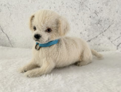 A4A32F99-E309-4942-AF4D-BC89226ABD47.jpeg (143.54 КБ) 10553 просмотра Лабрик из онлайна «Лежебоки» с Татьяной Коротких