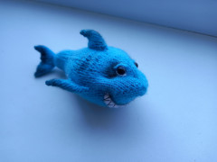 20230708_141252.jpg (110.92 КБ) 9562 просмотра Красавица акула