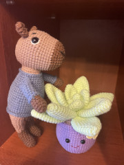 IMG_6592.jpeg (186.34 КБ) 8407 просмотров Капибара- это любовь!!!