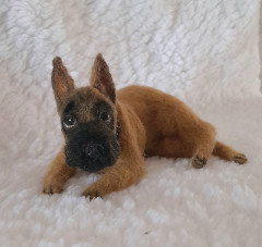 20230928_125417.jpg (223.02 КБ) 11962 просмотра Онлайн с Татьяной Коротких " кивающий пёс"