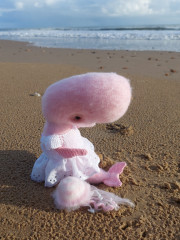 20231106_144253.jpg (262.64 КБ) 9579 просмотров #кашалот