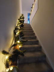 20231211_160100.jpg (164.72 КБ) 5458 просмотров Наша лестница :-)