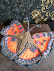 IMG_20240114_124417.jpg (342.51 КБ) 6494 просмотра Бабочка