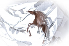 MIqFLJ-DJx8.jpg (74.04 КБ) 6071 просмотр По мк Светланы Перцевой белогривая мечта