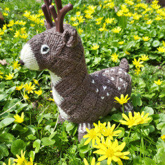 20240414_112324.jpg (500.53 КБ) 8911 просмотров #копытные энтерлак