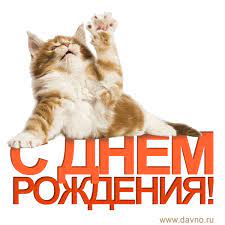 IMG_2321.jpeg