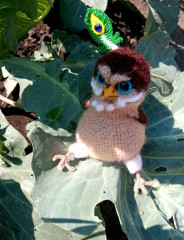 1721278190654.jpg (90.18 КБ) 9297 просмотров #домовый воробей бывалый