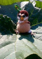 1721278190670.jpg (91.03 КБ) 9297 просмотров #домовый воробей бывалый