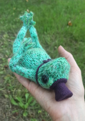 IMG_20240827_145906.jpg (178.89 КБ) 8532 просмотра #беззаботная лягушка